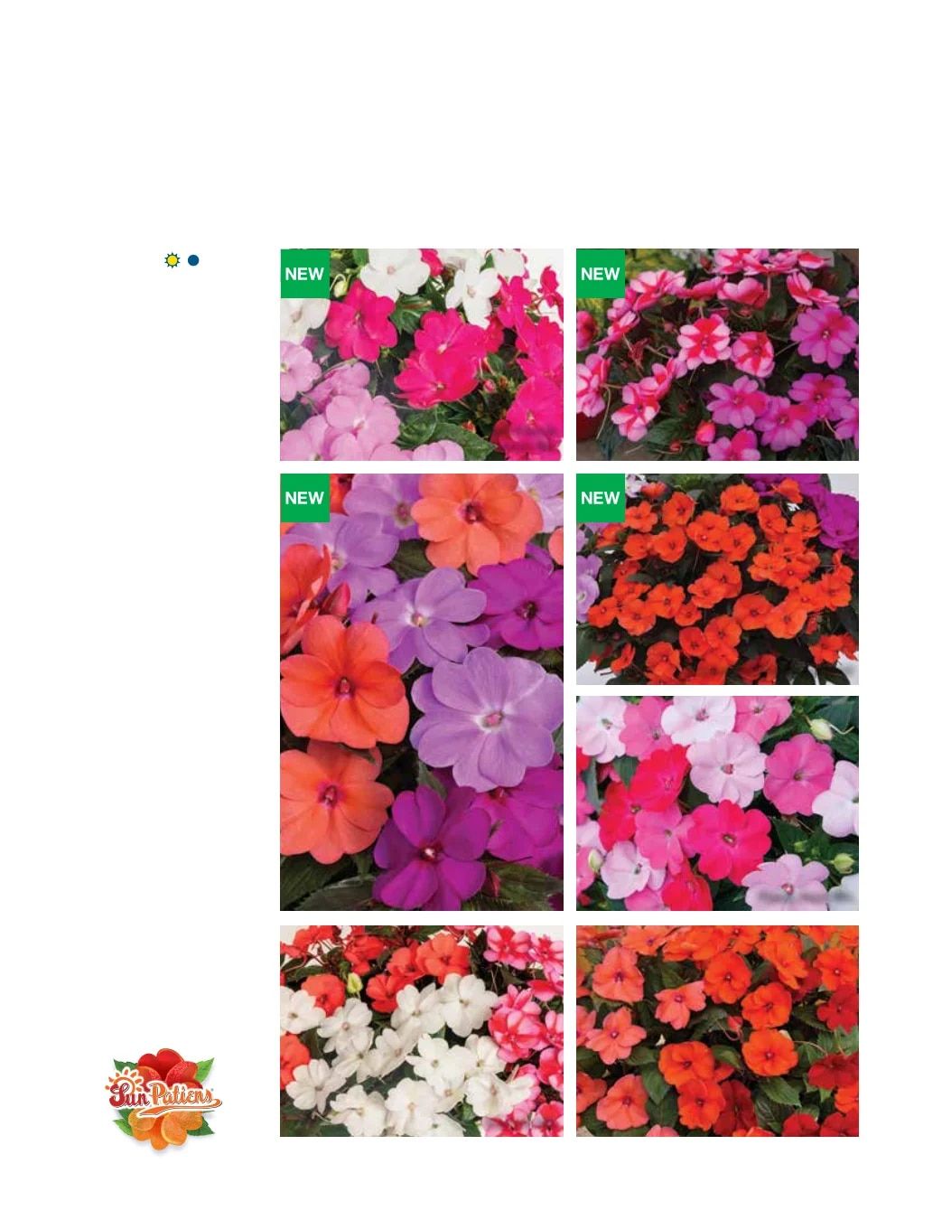 Ball FloraPlant Plants Catalog Weekly Ad January 1 - December 31, 2027