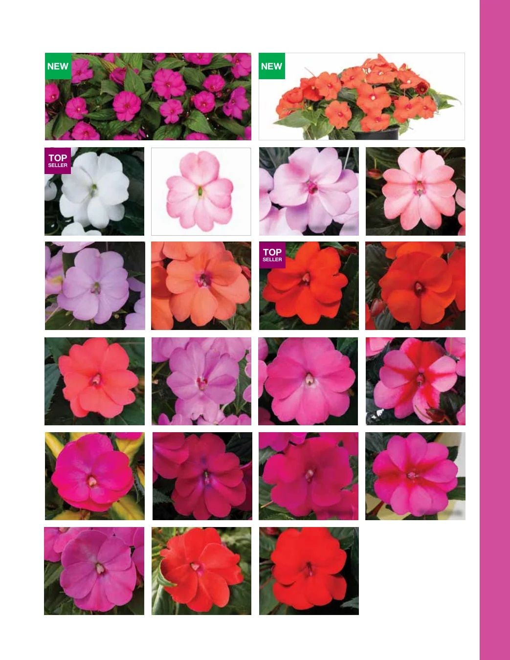 Ball FloraPlant Plants Catalog Weekly Ad January 1 - December 31, 2027