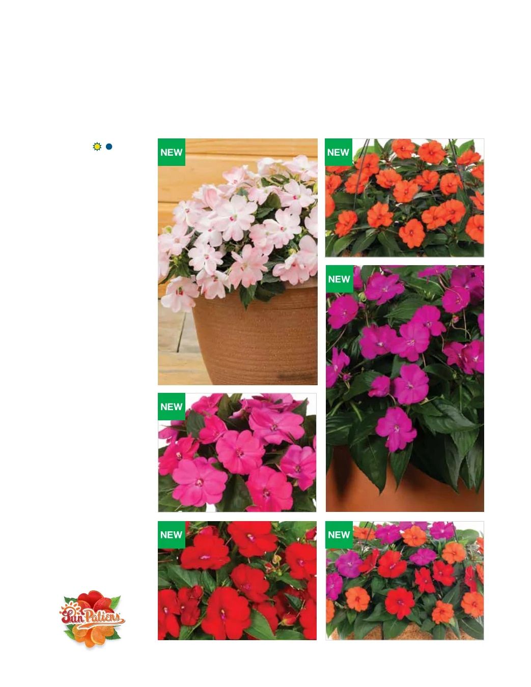 Ball FloraPlant Plants Catalog Weekly Ad January 1 - December 31, 2027