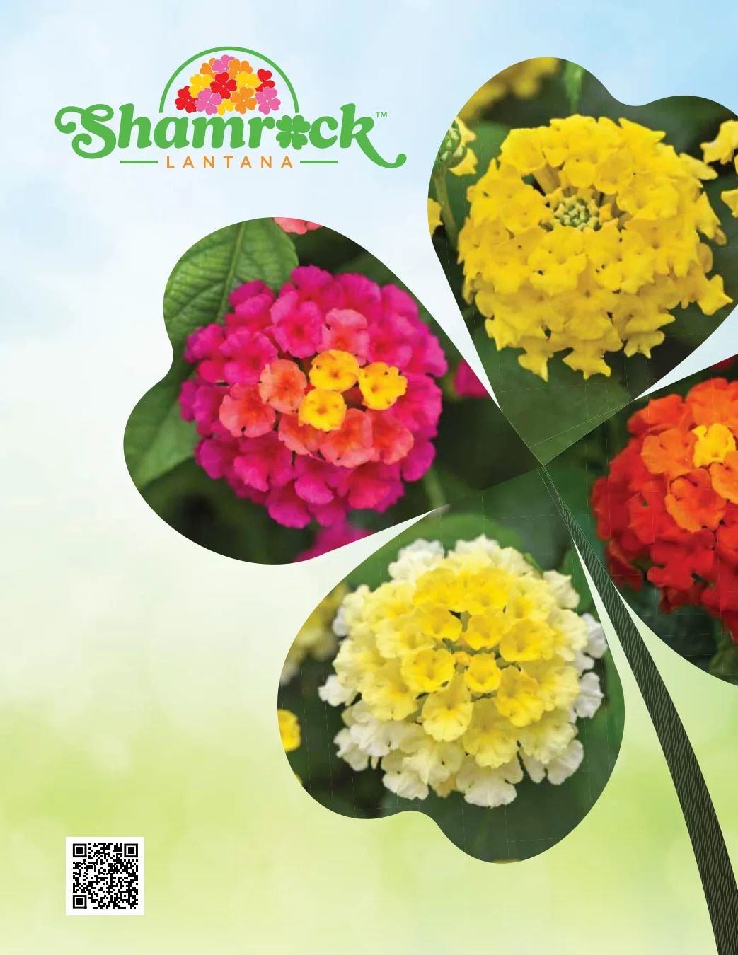 Ball FloraPlant Plants Catalog Weekly Ad January 1 - December 31, 2027