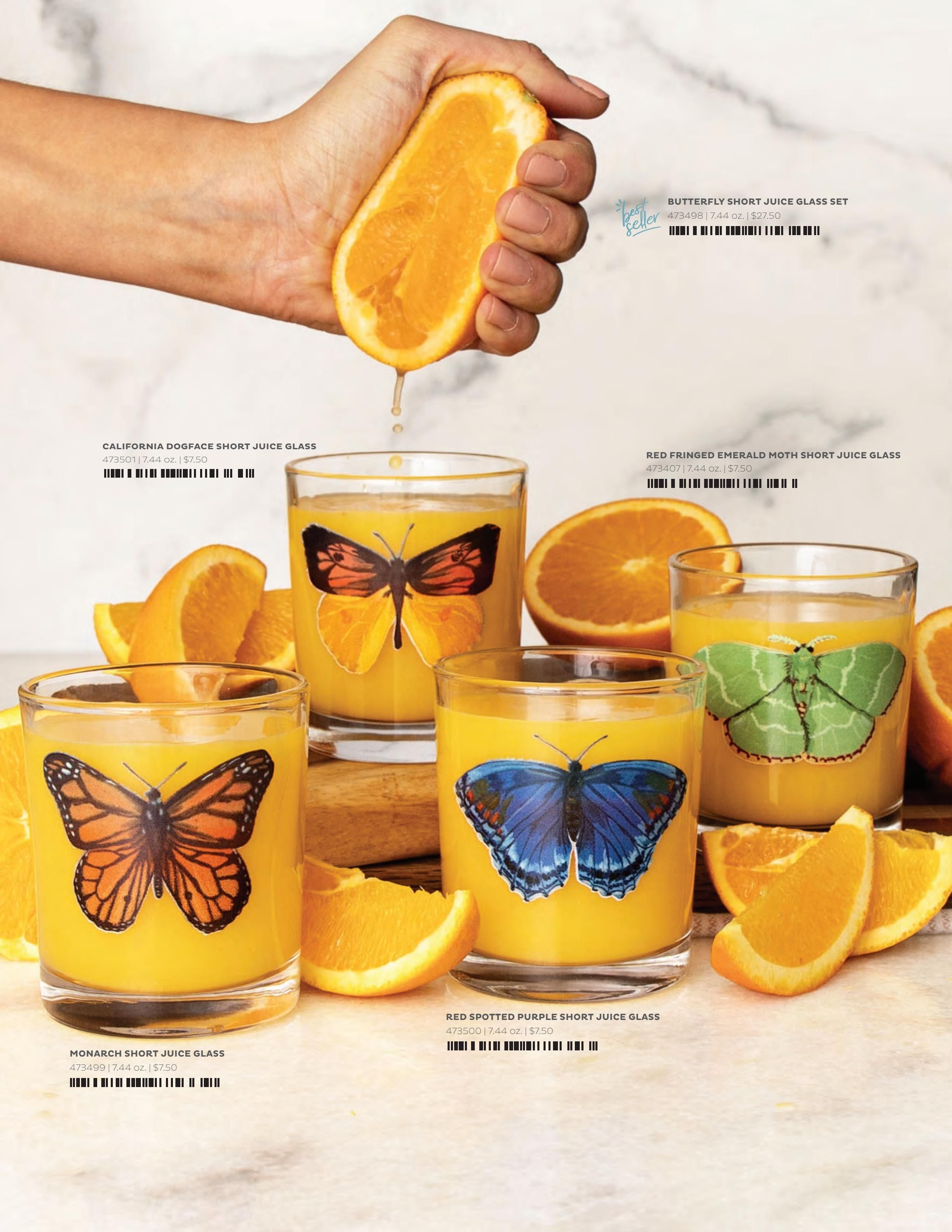 1Canoe2 Paper Goods Catalog Weekly Ad January 1 - December 31, 2026