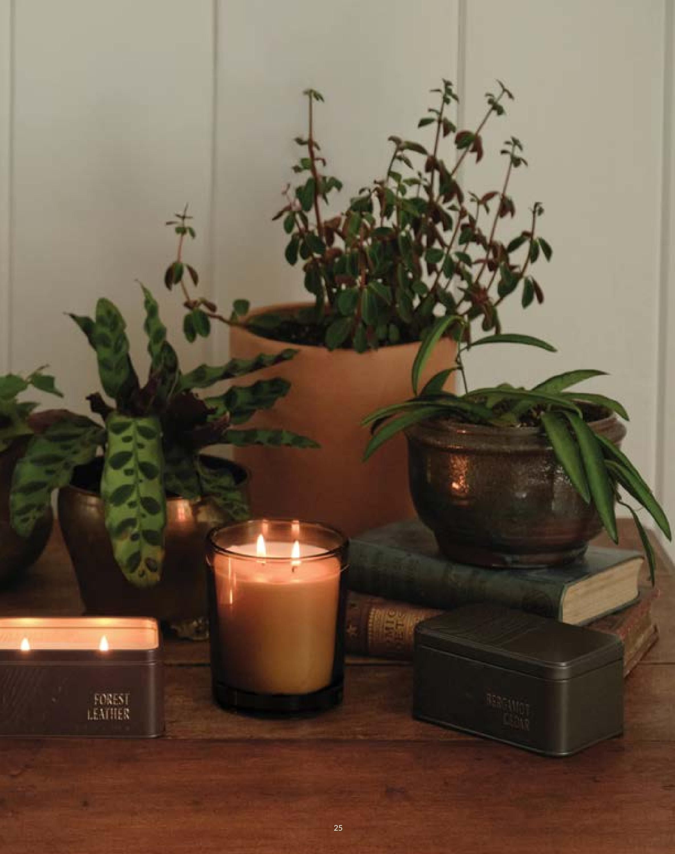 Archipelago Fall Home Fragrance Catalog Weekly Ad January 1 - December 31, 2026