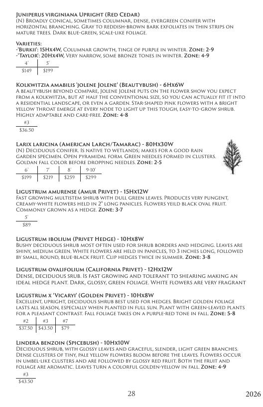 Aspinall's Tree Nursery Nursery Catalog Weekly Ad January 1 - December 31, 2026
