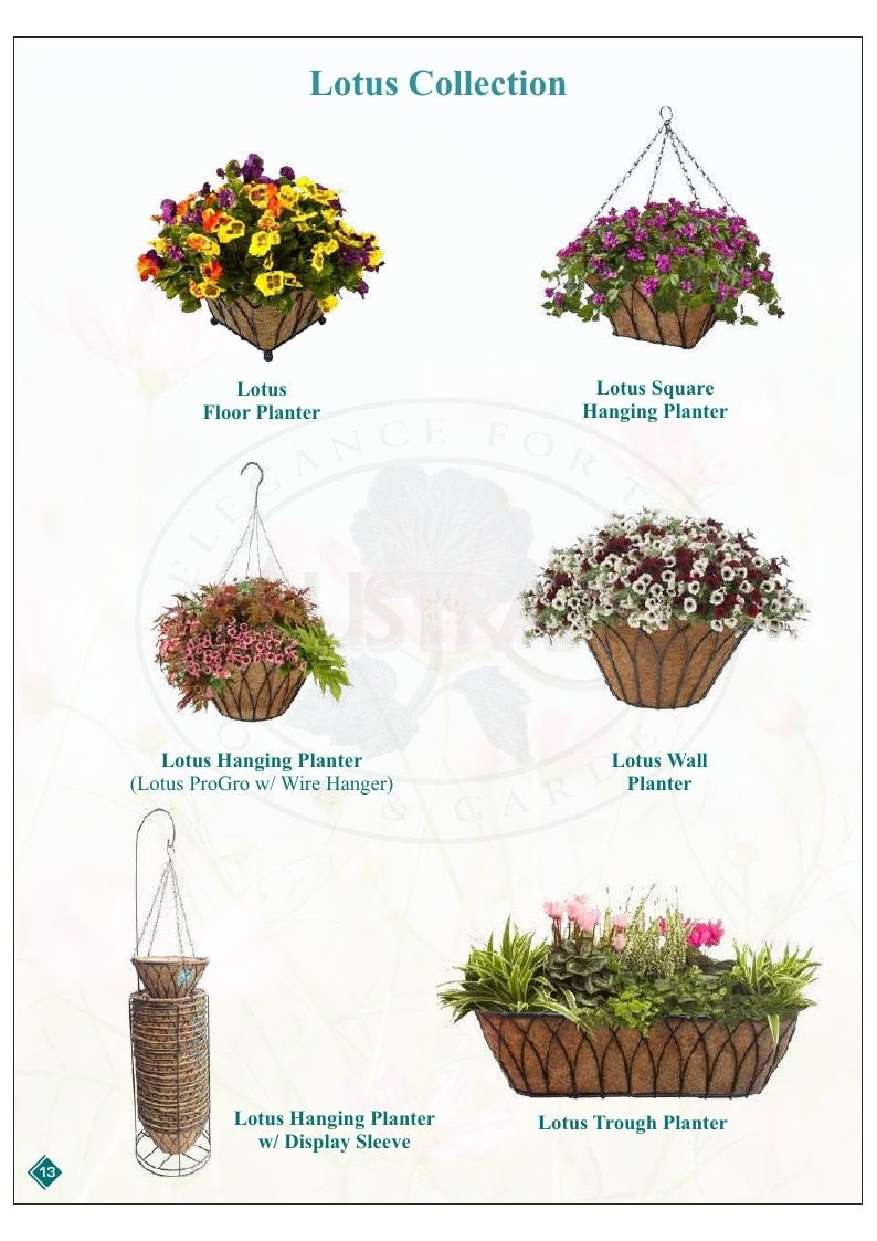 Austram Garden Products Catalog Weekly Ad January 1, 2025 - December 31, 2026