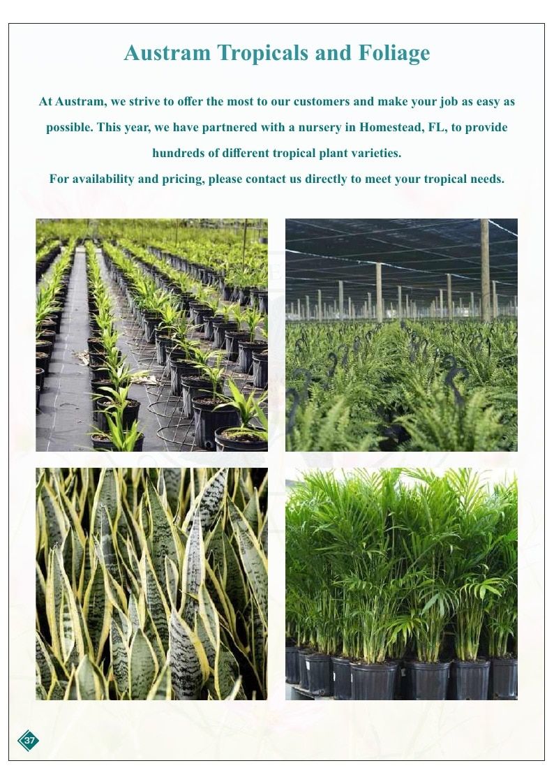 Austram Garden Products Catalog Weekly Ad January 1, 2025 - December 31, 2026