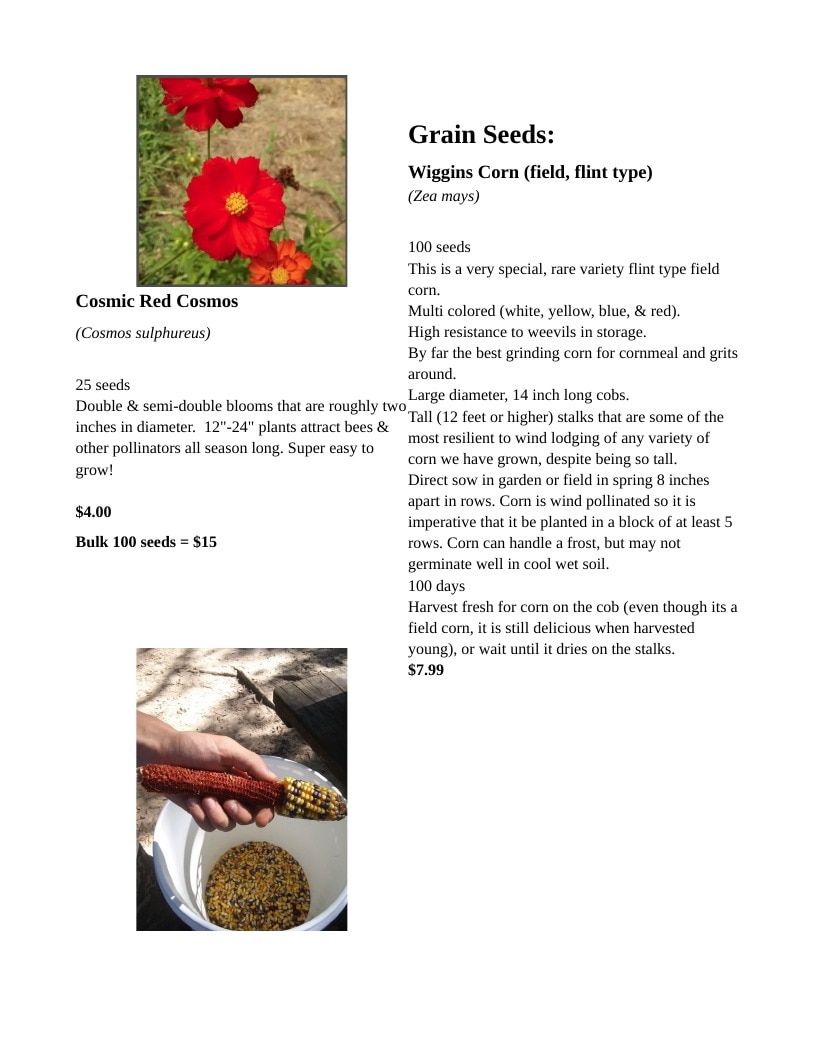 Backwoods Energy Seeds Seed Catalog Weekly Ad January 1 - December 31, 2026