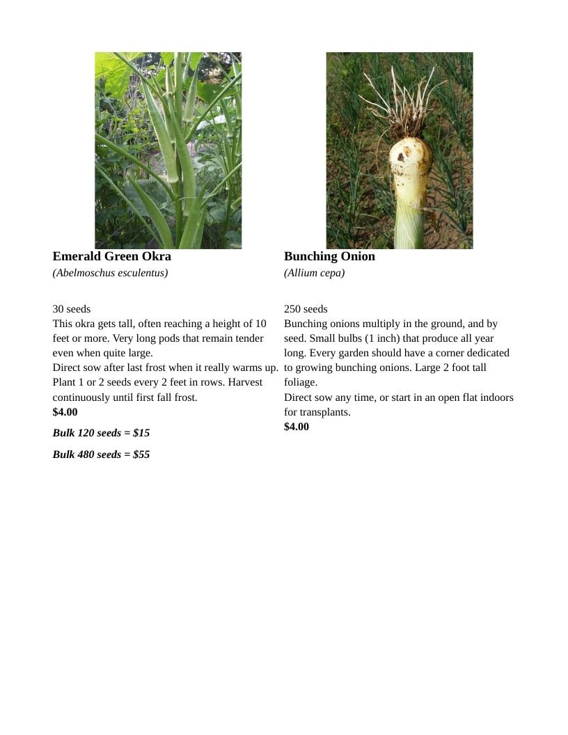 Backwoods Energy Seeds Seed Catalog Weekly Ad January 1 - December 31, 2026