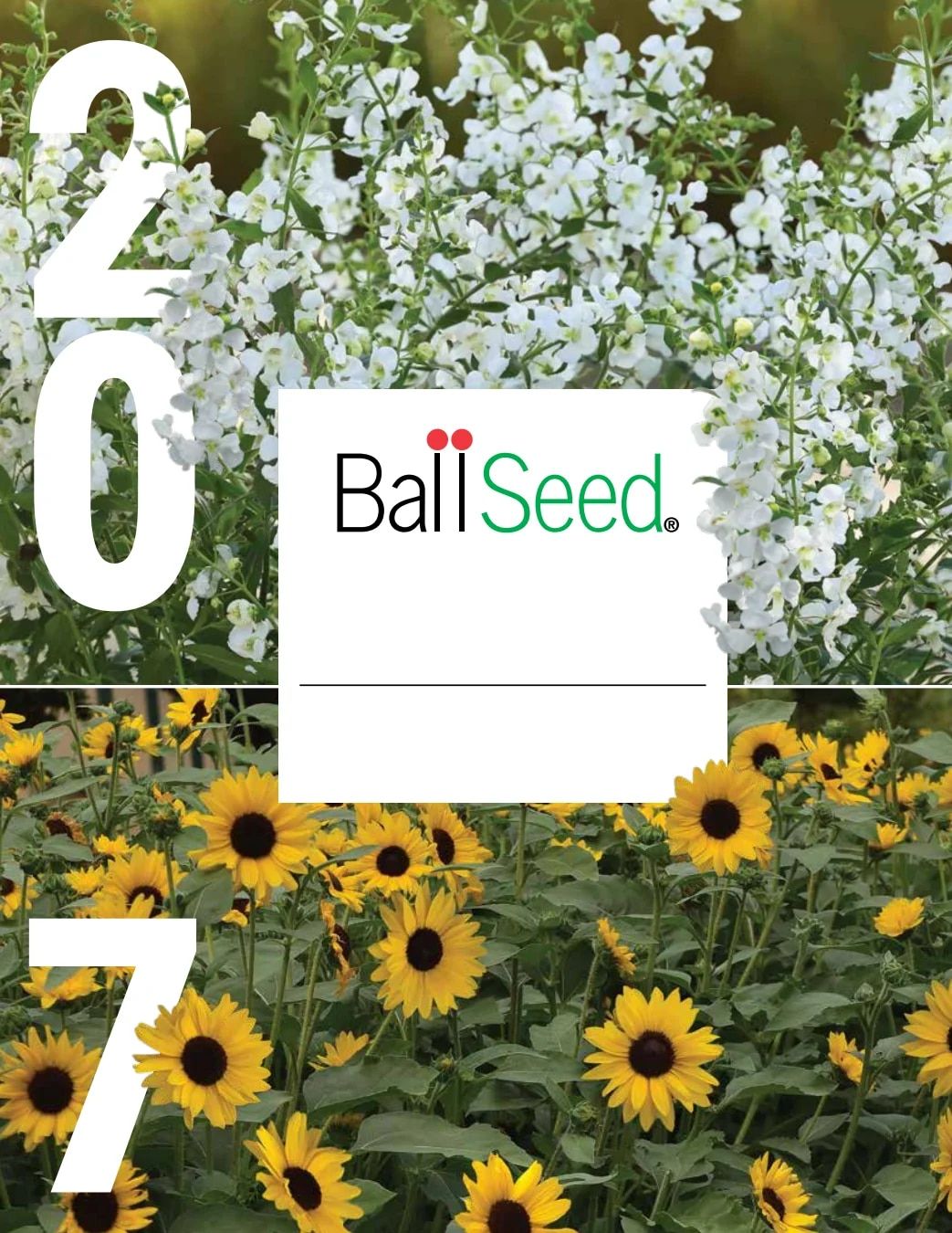 Ball Seed New Varieties Catalog Weekly Ad August 1, 2026 - December 31, 2027