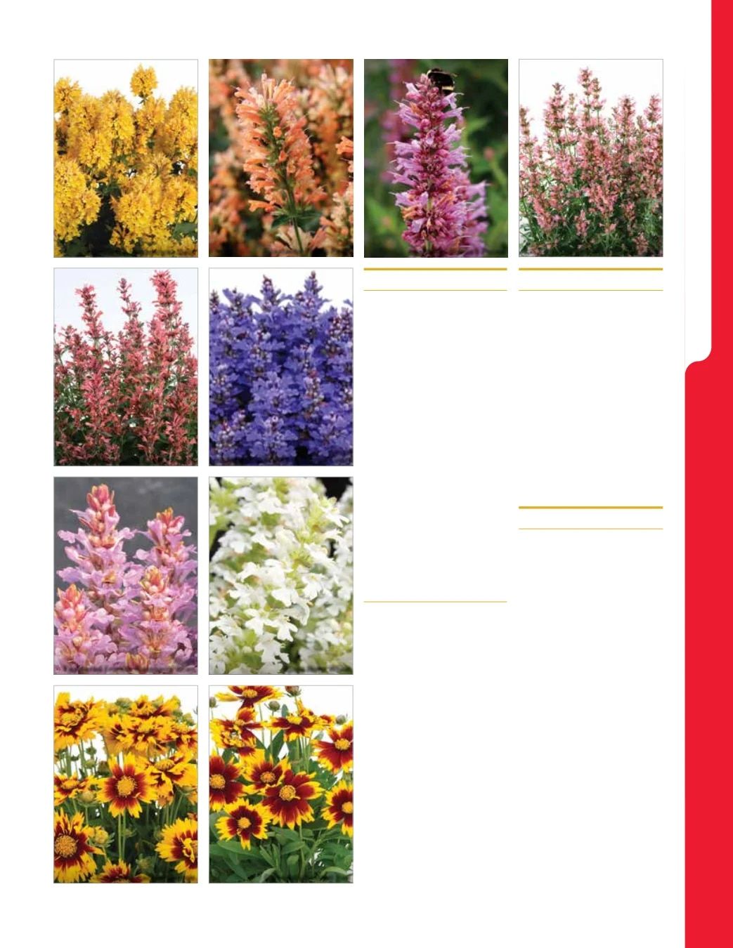 Ball Seed New Varieties Catalog Weekly Ad August 1, 2026 - December 31, 2027