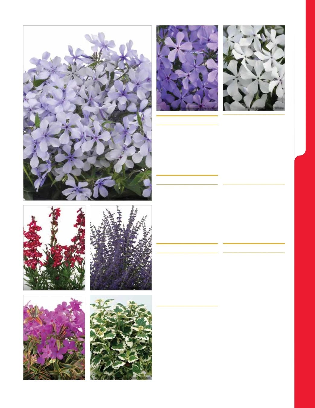 Ball Seed New Varieties Catalog Weekly Ad August 1, 2026 - December 31, 2027