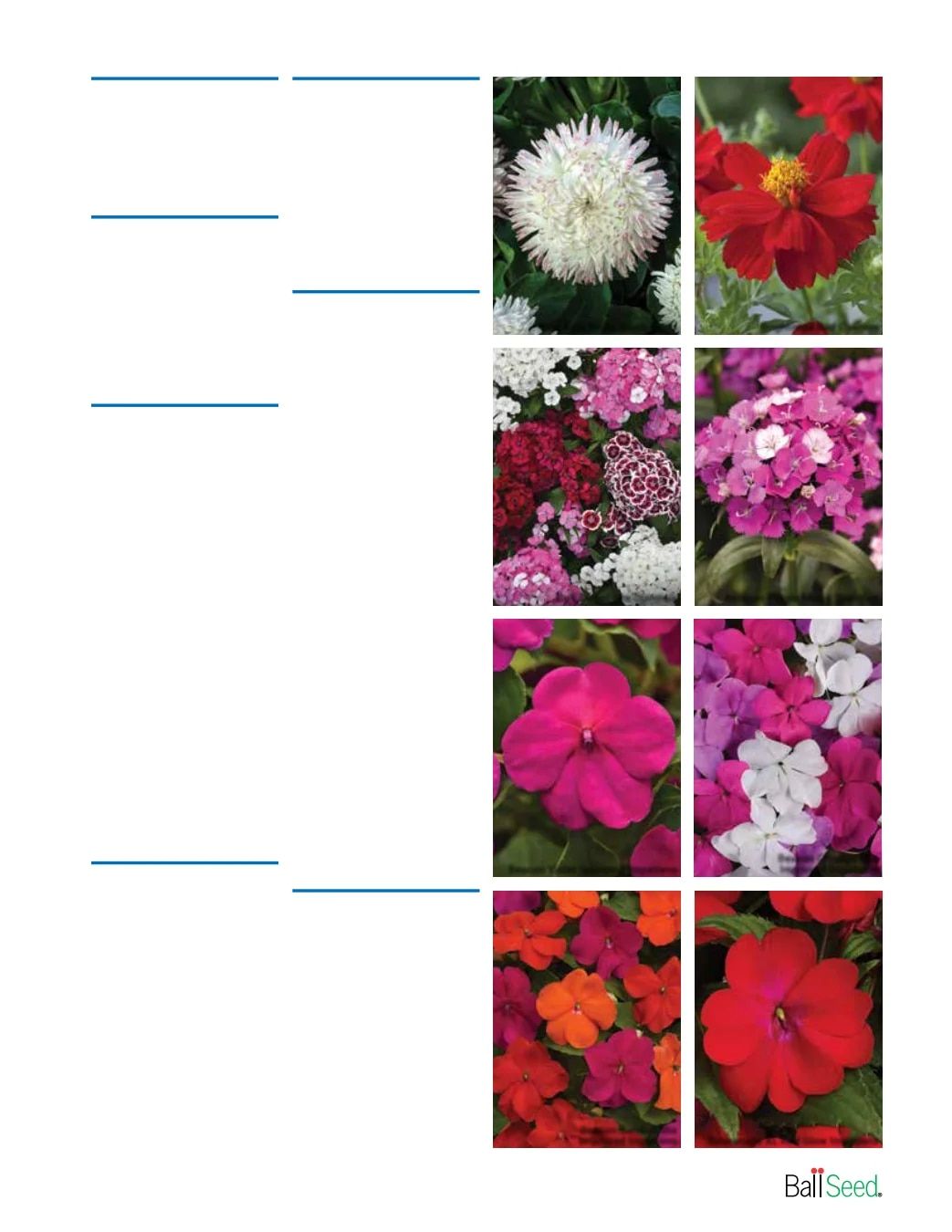 Ball Seed New Varieties Catalog Weekly Ad August 1, 2026 - December 31, 2027