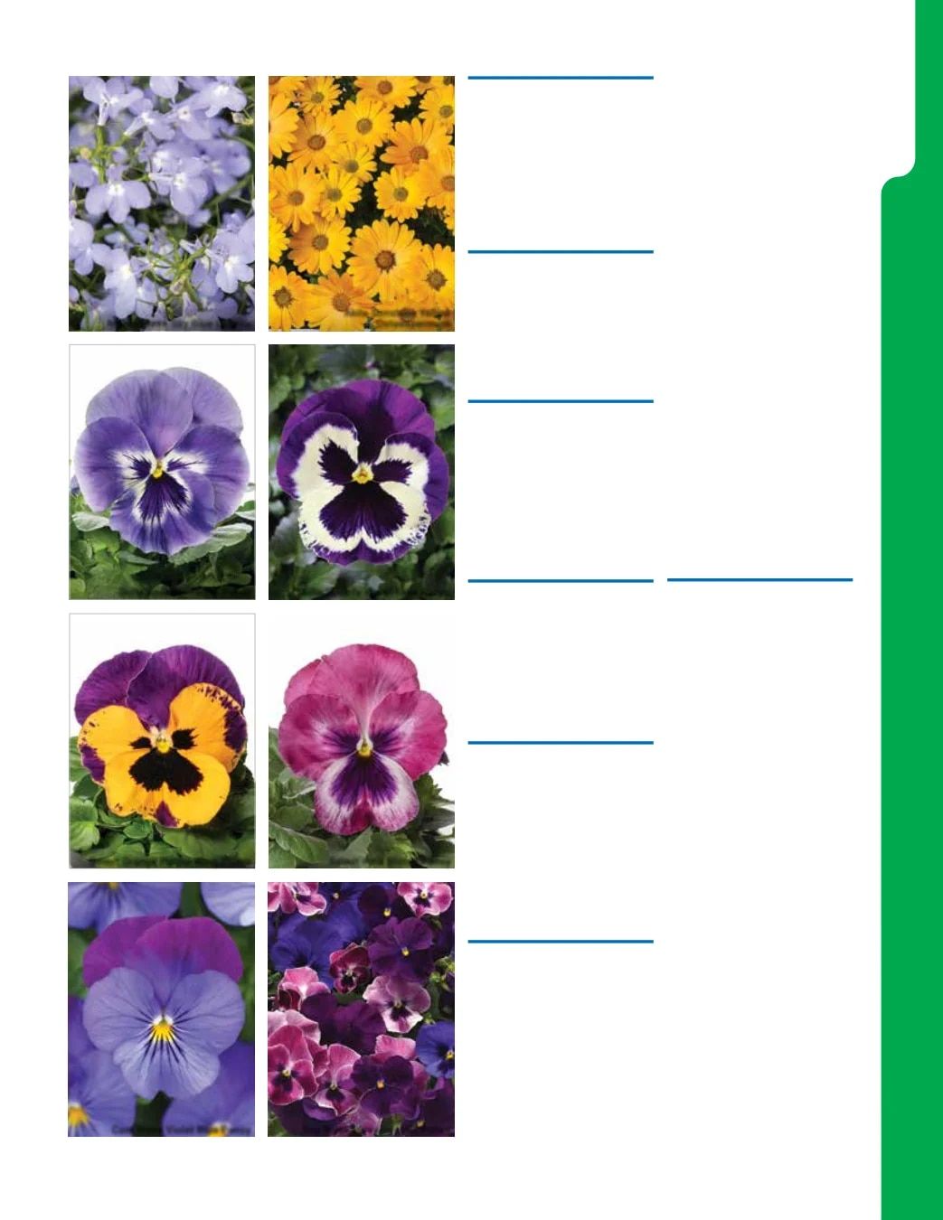 Ball Seed New Varieties Catalog Weekly Ad August 1, 2026 - December 31, 2027