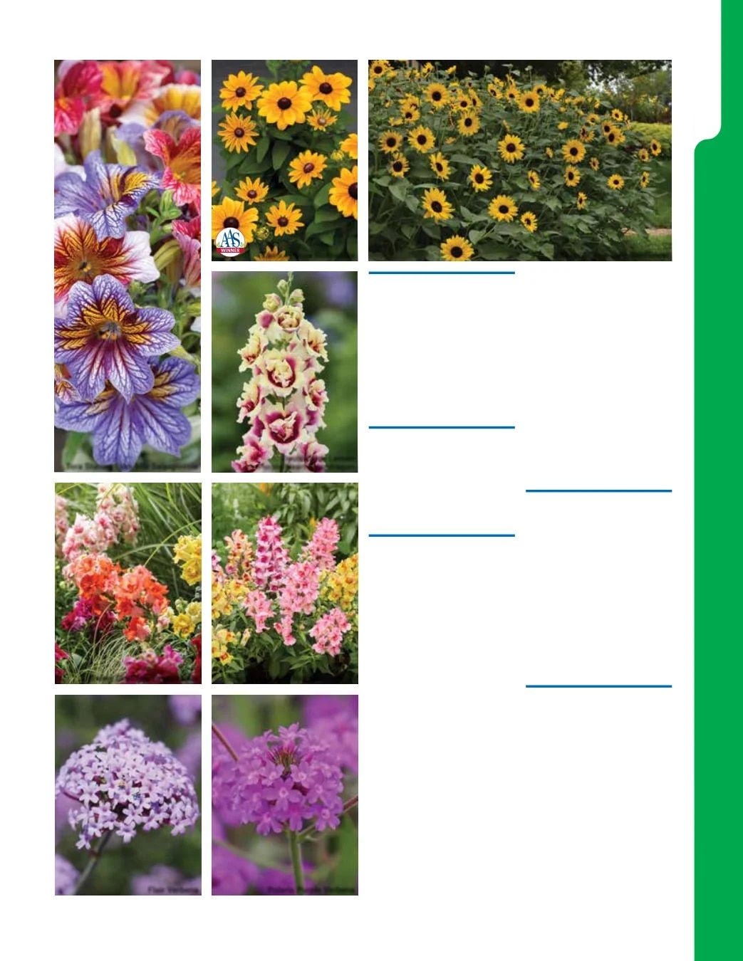 Ball Seed New Varieties Catalog Weekly Ad August 1, 2026 - December 31, 2027