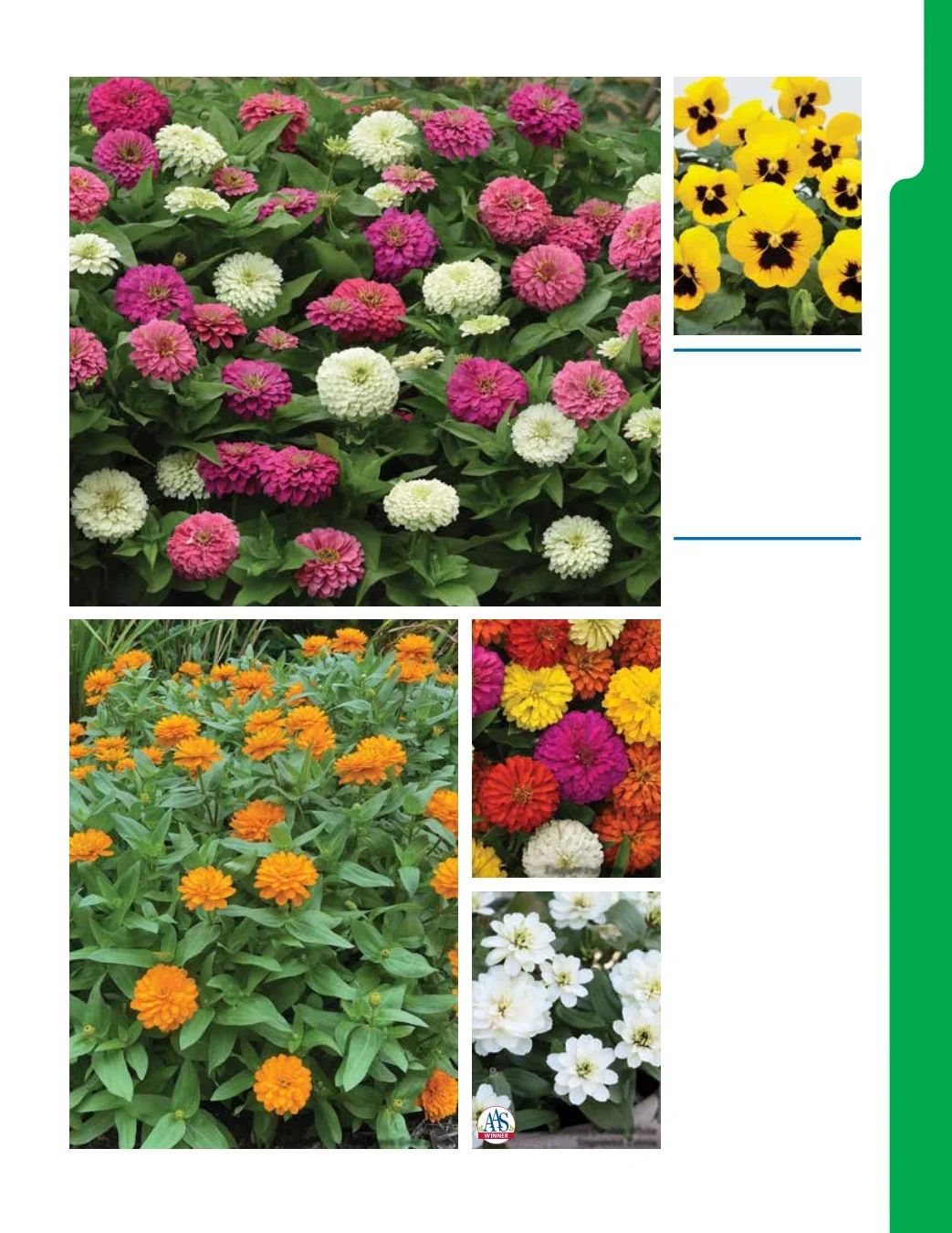 Ball Seed New Varieties Catalog Weekly Ad August 1, 2026 - December 31, 2027