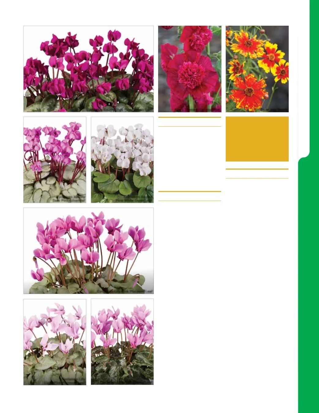 Ball Seed New Varieties Catalog Weekly Ad August 1, 2026 - December 31, 2027
