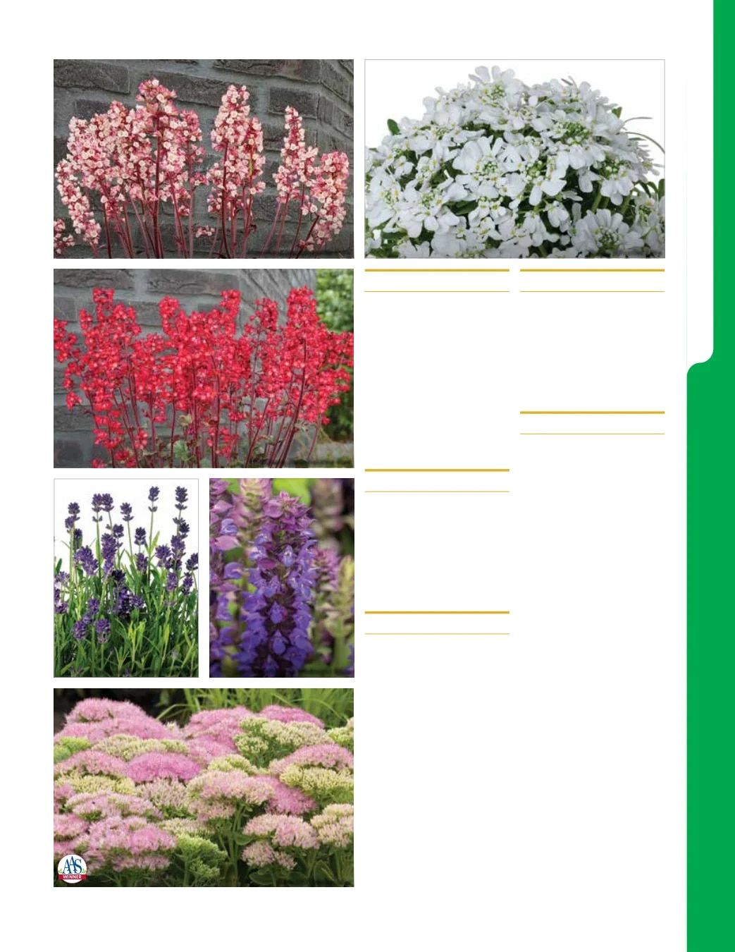 Ball Seed New Varieties Catalog Weekly Ad August 1, 2026 - December 31, 2027