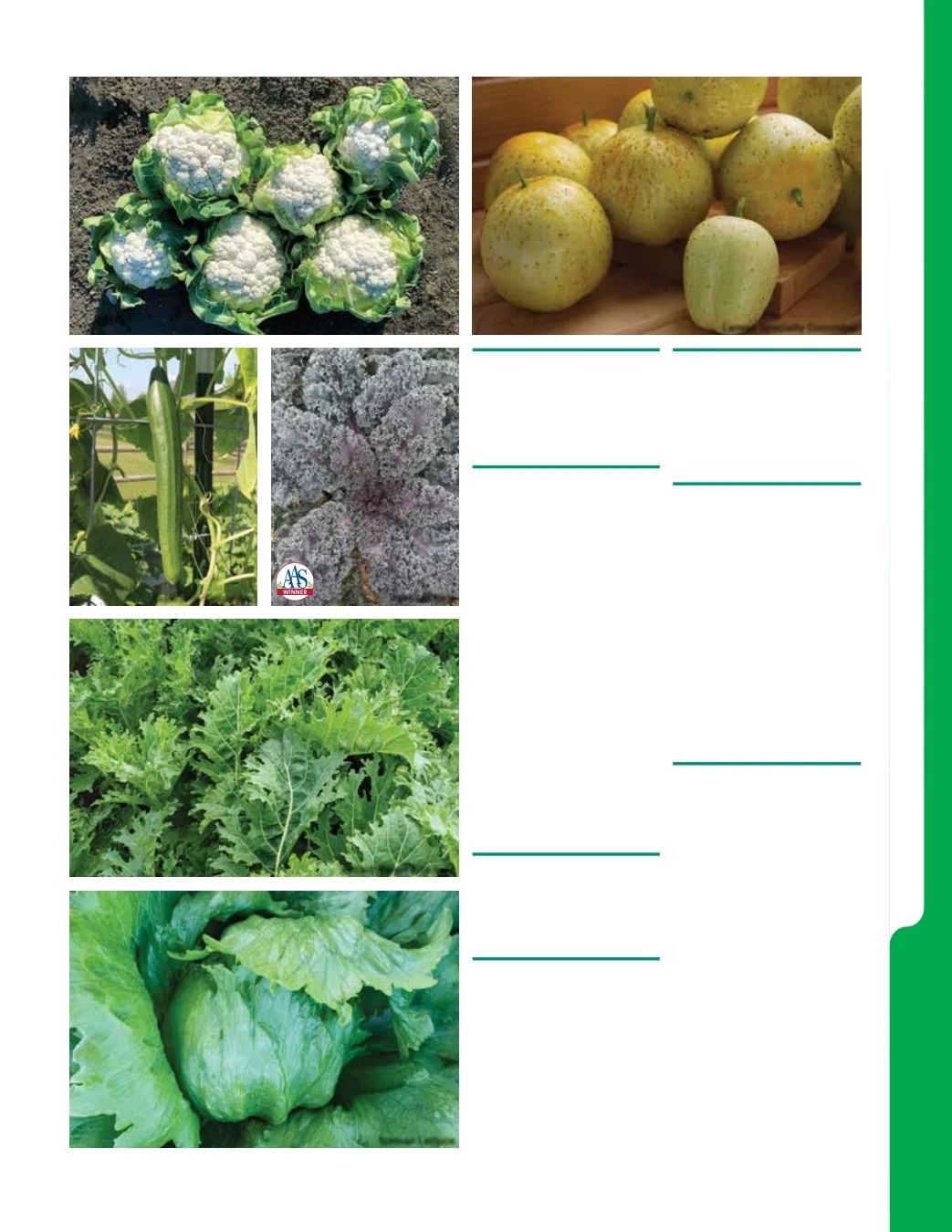 Ball Seed New Varieties Catalog Weekly Ad August 1, 2026 - December 31, 2027