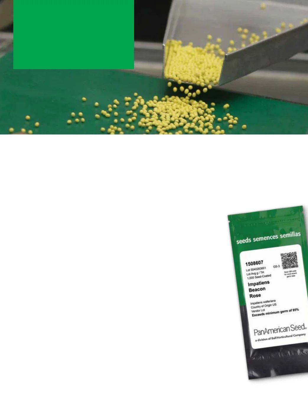 Ball Seed New Varieties Catalog Weekly Ad August 1, 2026 - December 31, 2027