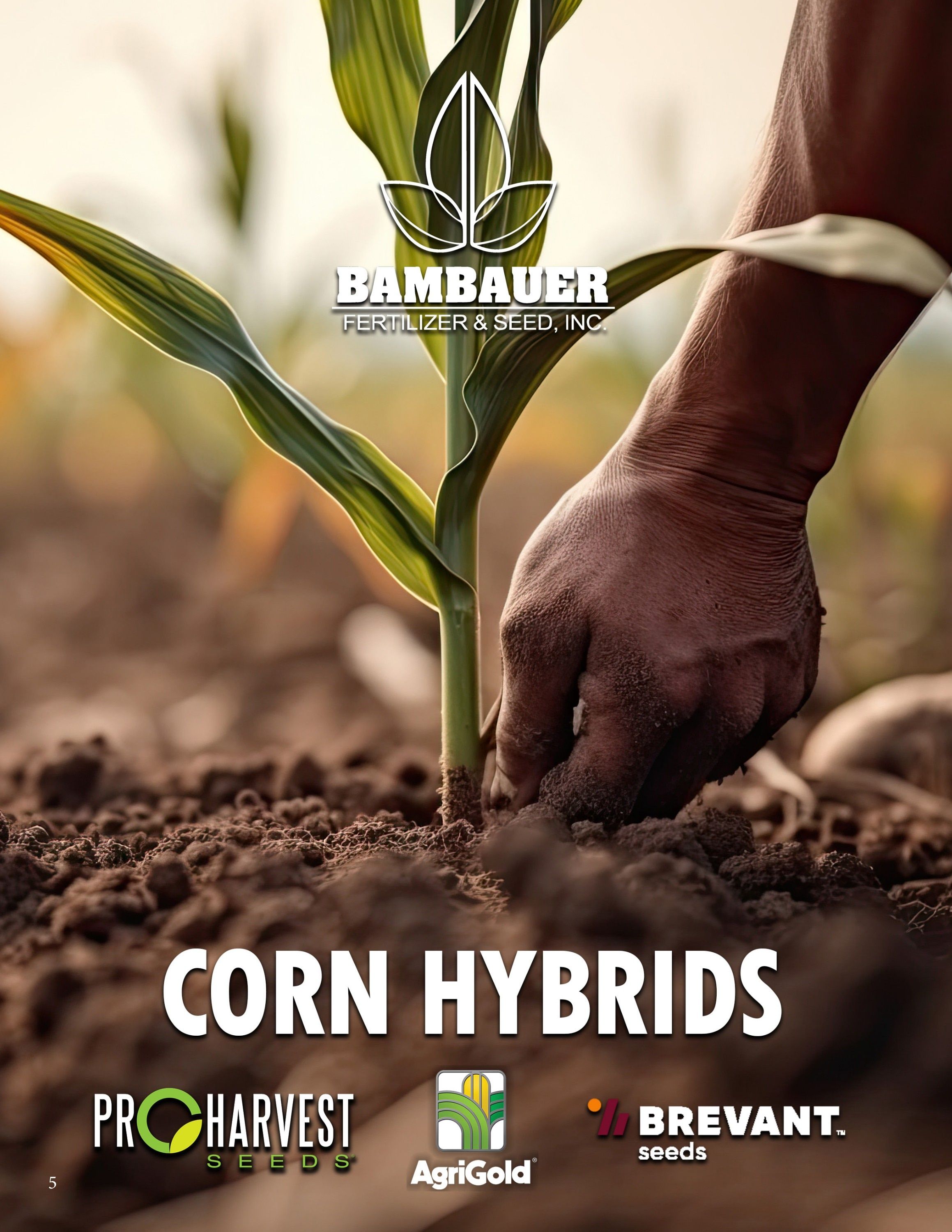 Bambauer Seed Seed Products Guide Weekly Ad January 1 - December 31, 2026