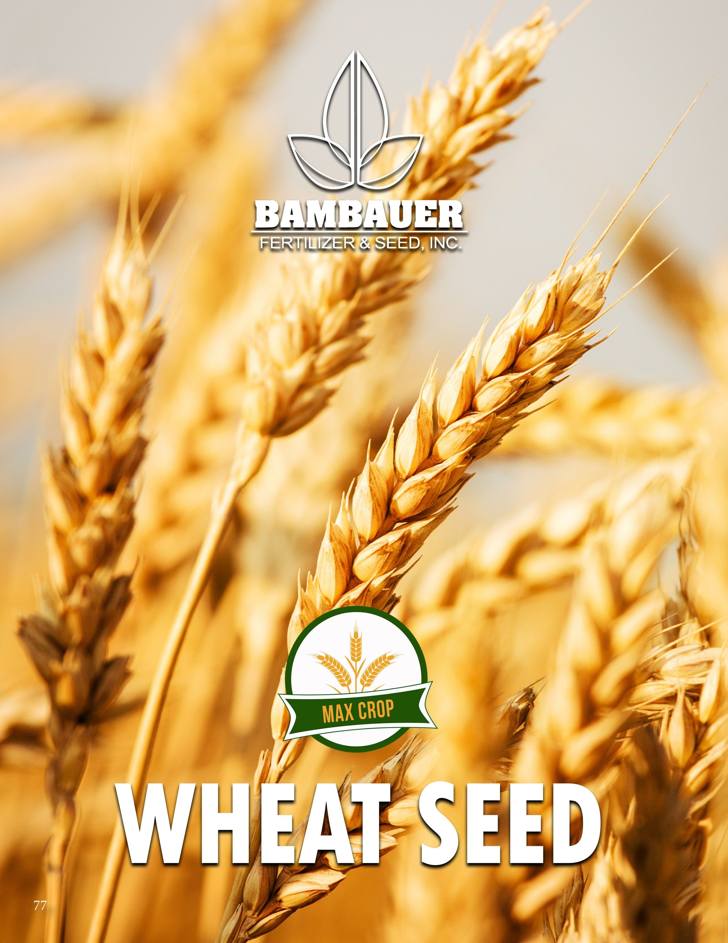 Bambauer Seed Seed Products Guide Weekly Ad January 1 - December 31, 2026