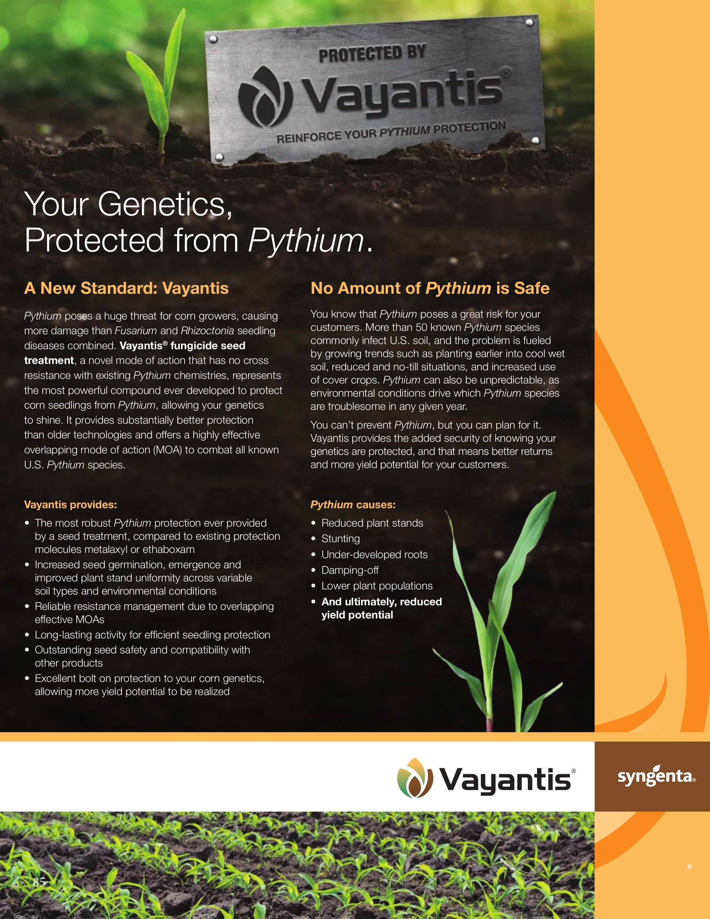 Bambauer Seed Seed Products Guide Weekly Ad January 1 - December 31, 2026
