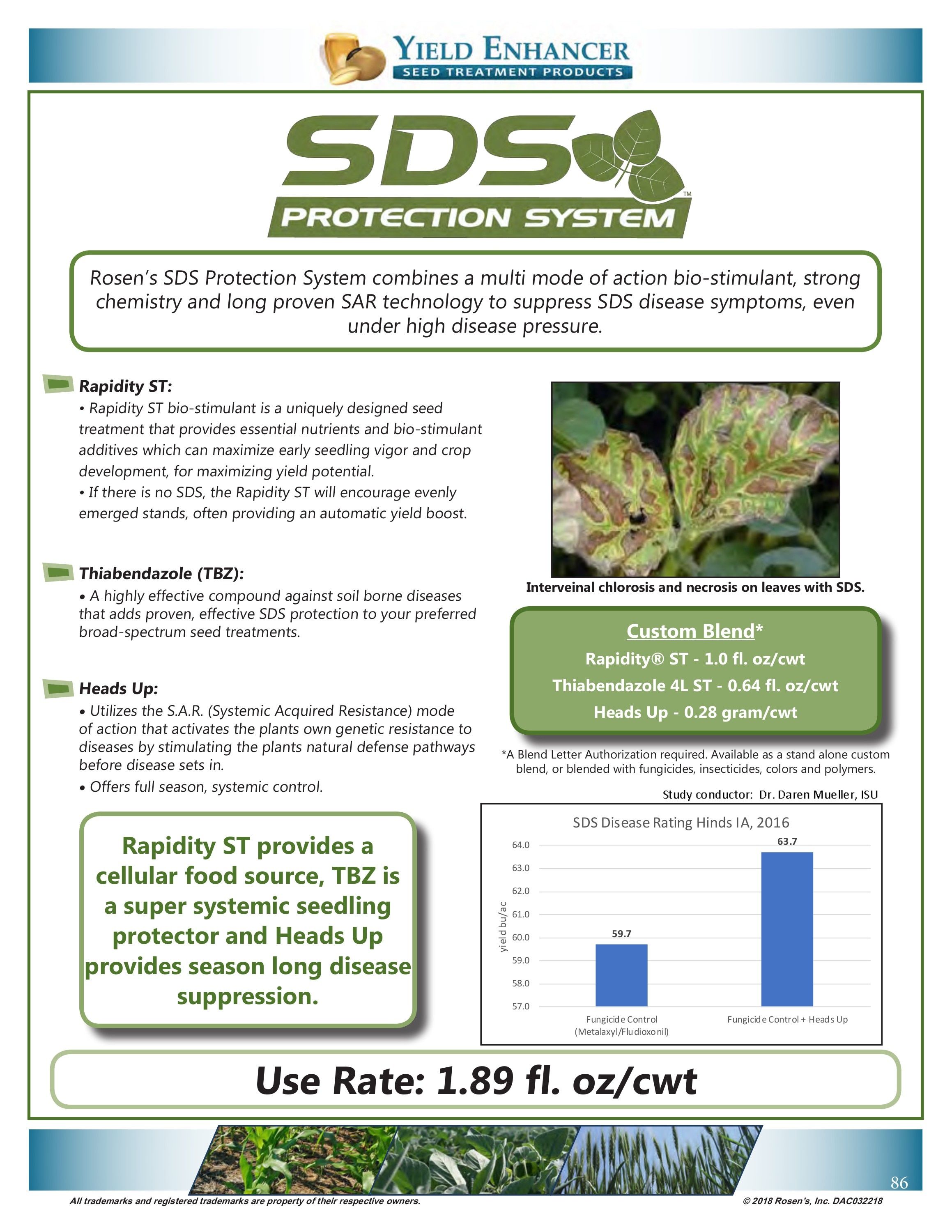 Bambauer Seed Seed Products Guide Weekly Ad January 1 - December 31, 2026