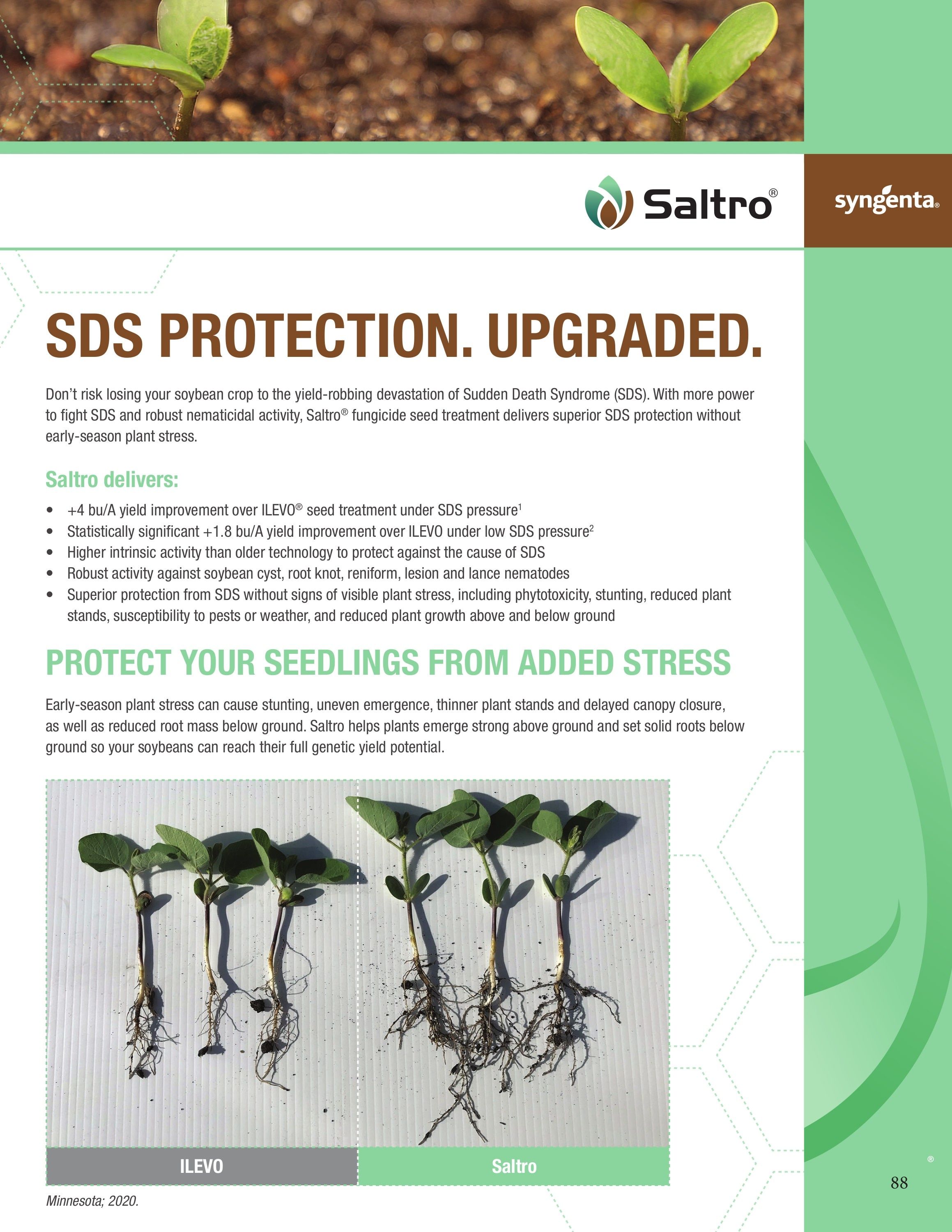 Bambauer Seed Seed Products Guide Weekly Ad January 1 - December 31, 2026