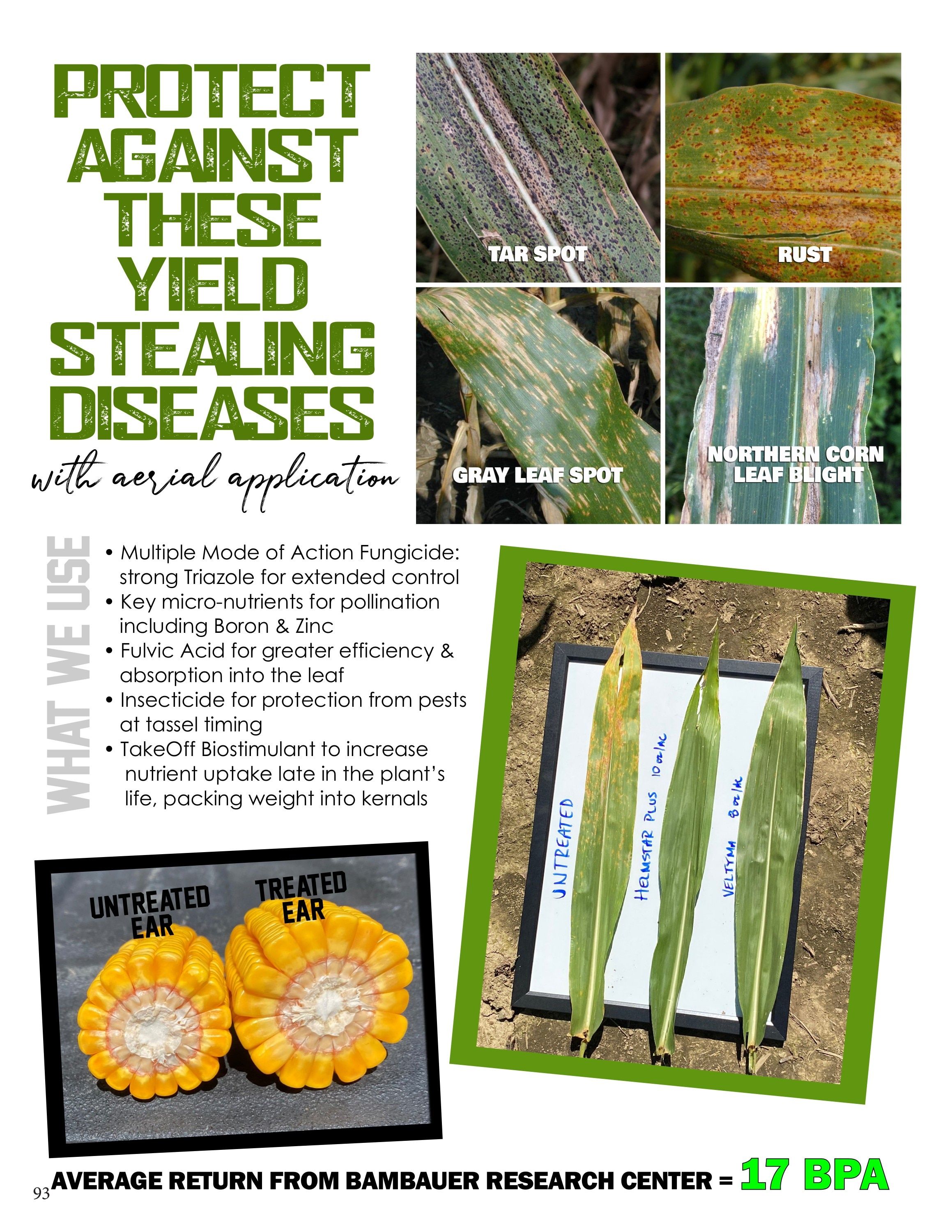 Bambauer Seed Seed Products Guide Weekly Ad January 1 - December 31, 2026