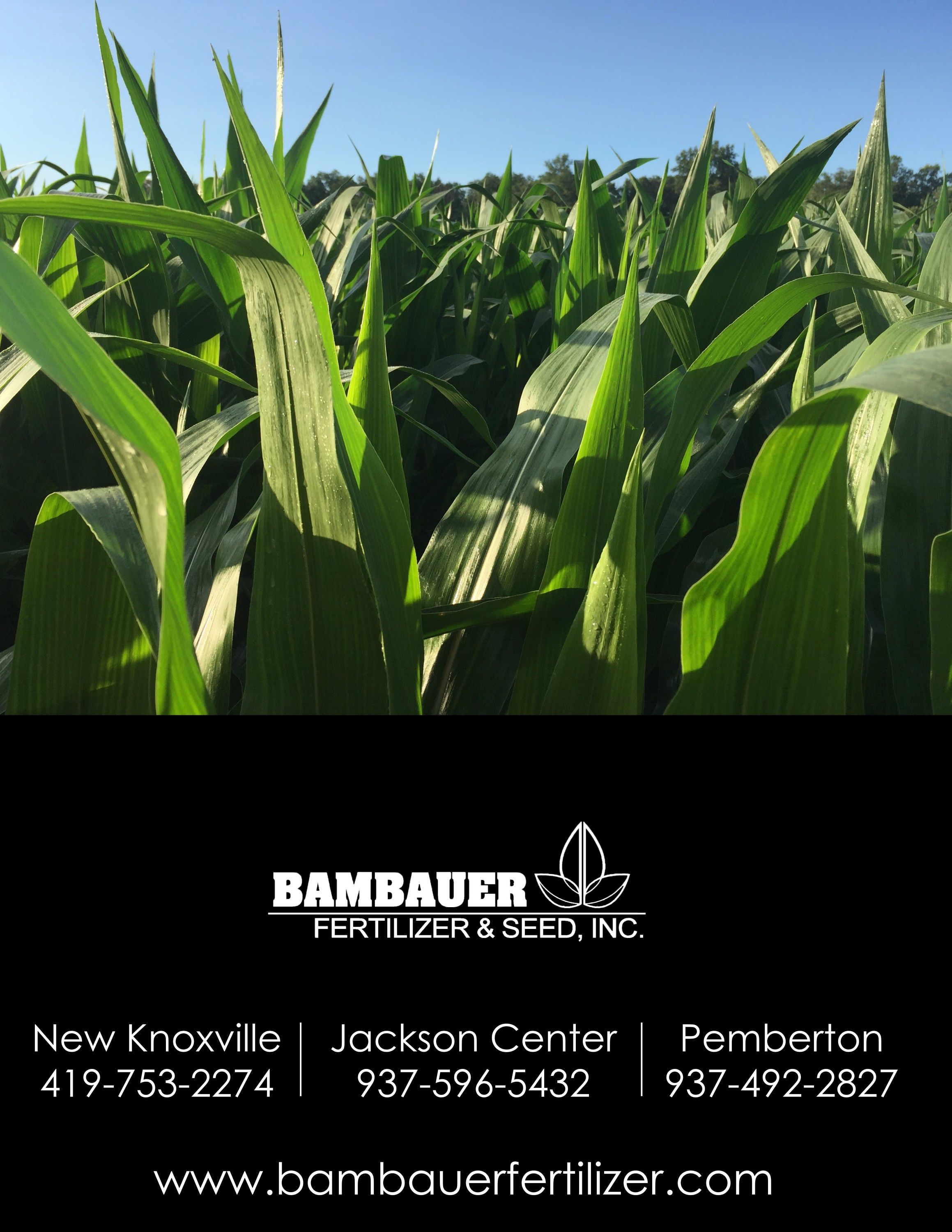 Bambauer Seed Seed Products Guide Weekly Ad January 1 - December 31, 2026