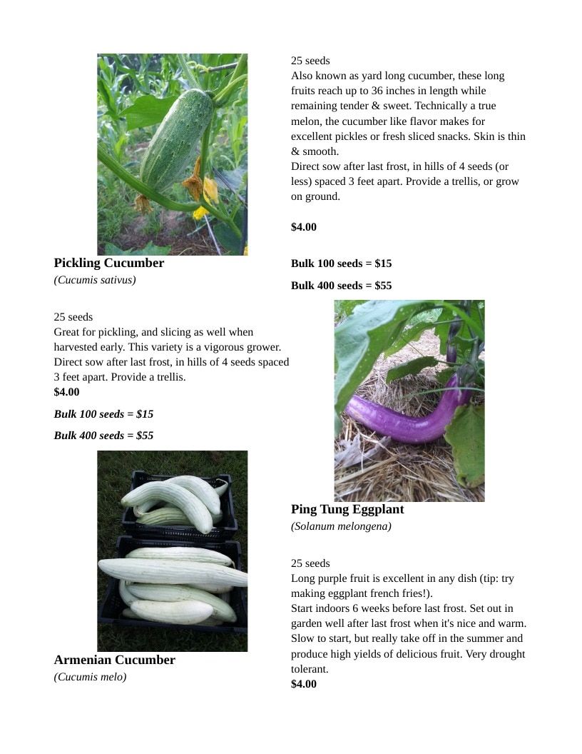 Backwoods Energy Seed Catalog Weekly Ad January 1 - December 31, 2026