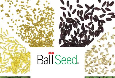 Ball Seed Seed and Plugs Catalog Weekly Ad August 31, 2026 - December 31, 2028