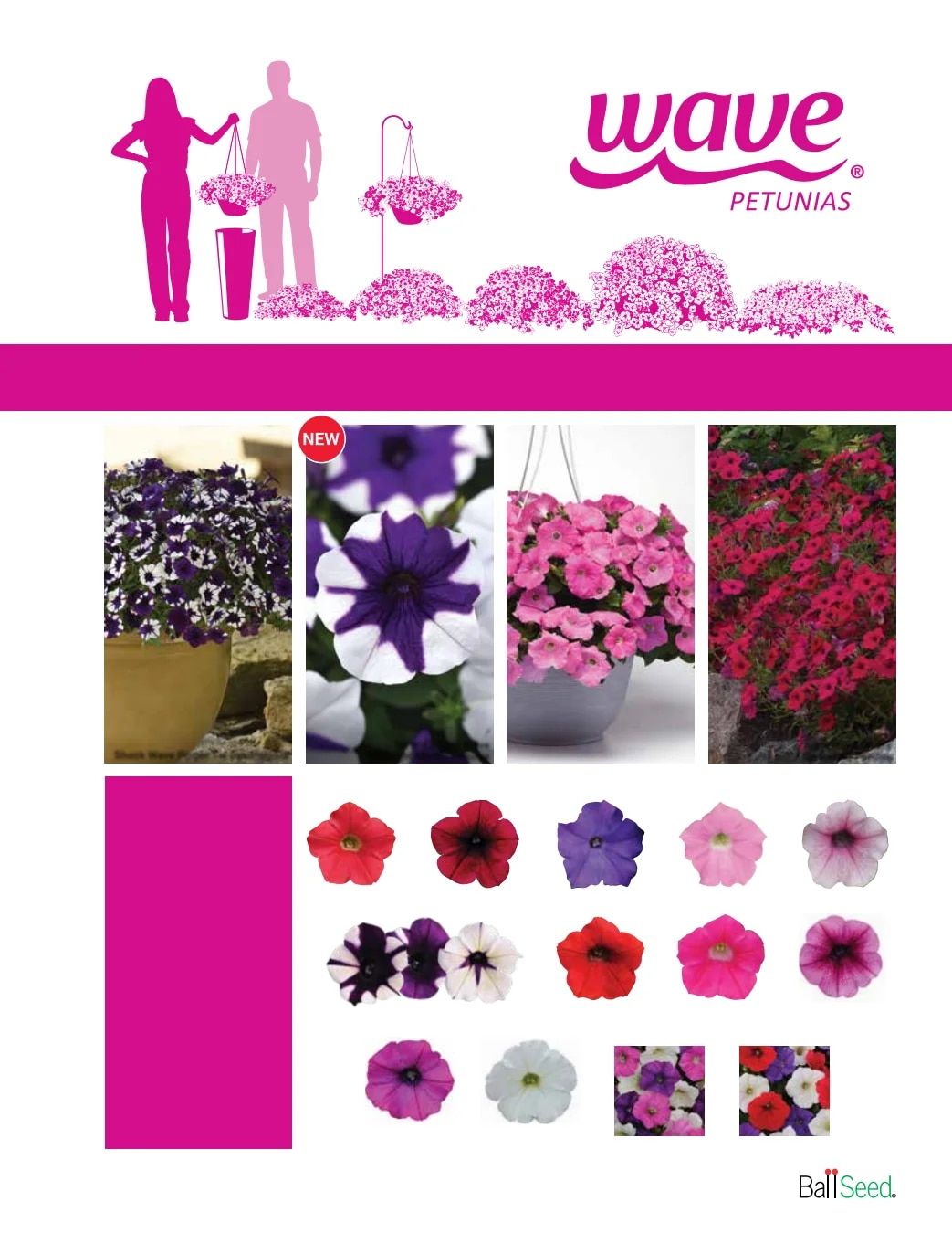 Ball Seed Seed and Plugs Catalog Weekly Ad August 31, 2026 - December 31, 2028