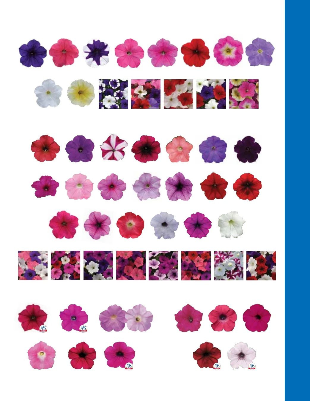 Ball Seed Seed and Plugs Catalog Weekly Ad August 31, 2026 - December 31, 2028
