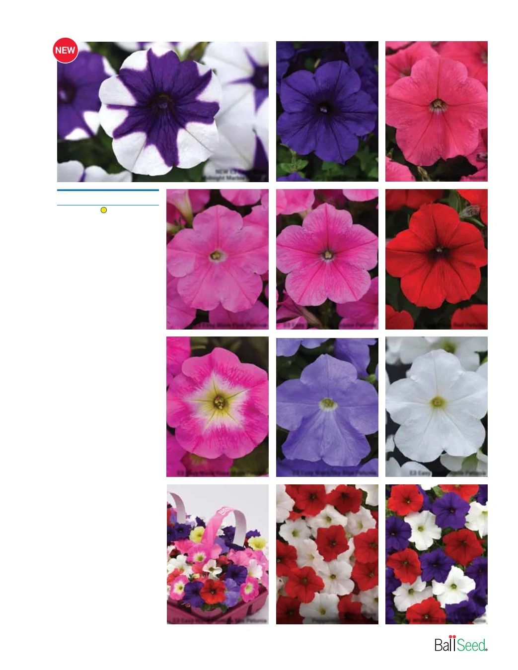 Ball Seed Seed and Plugs Catalog Weekly Ad August 31, 2026 - December 31, 2028