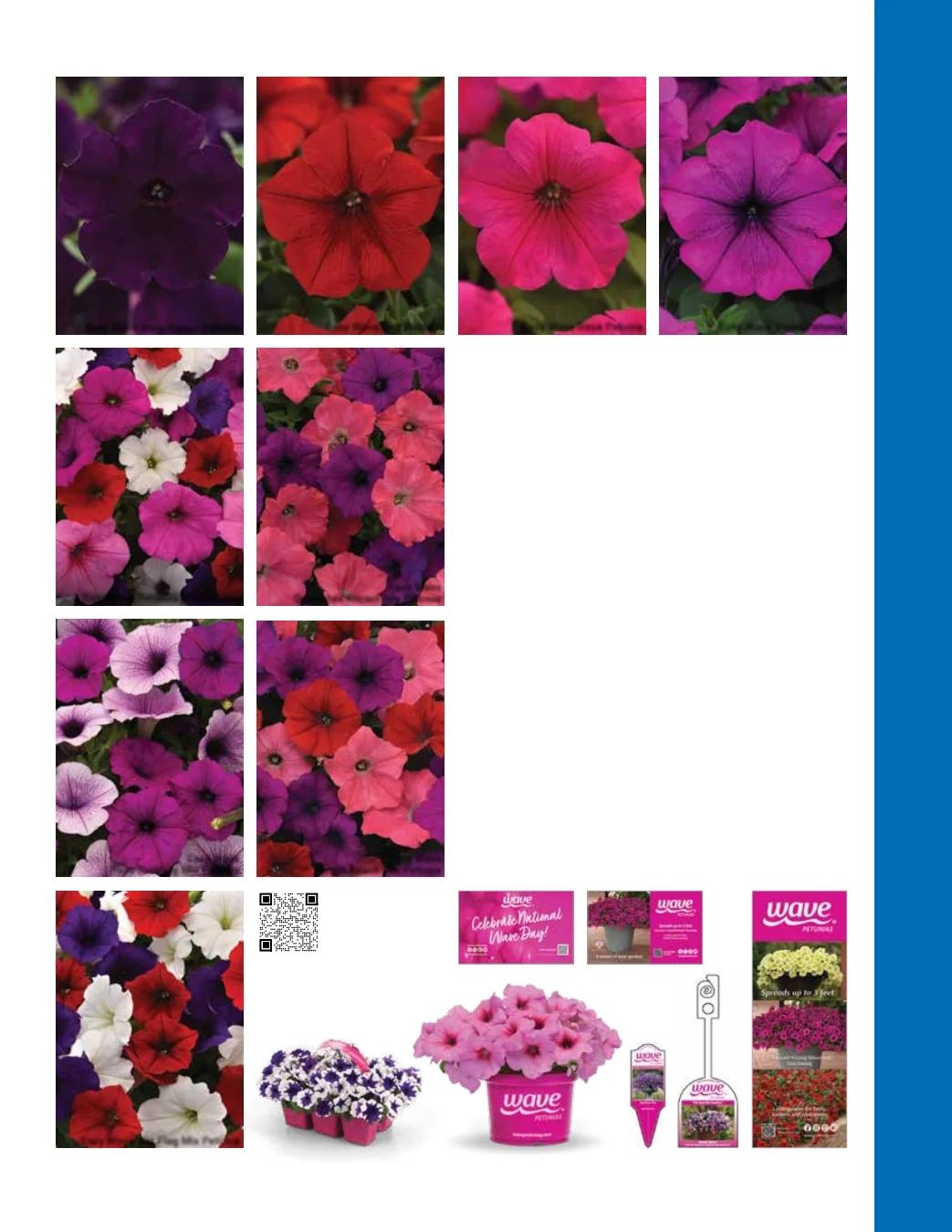 Ball Seed Seed and Plugs Catalog Weekly Ad August 31, 2026 - December 31, 2028
