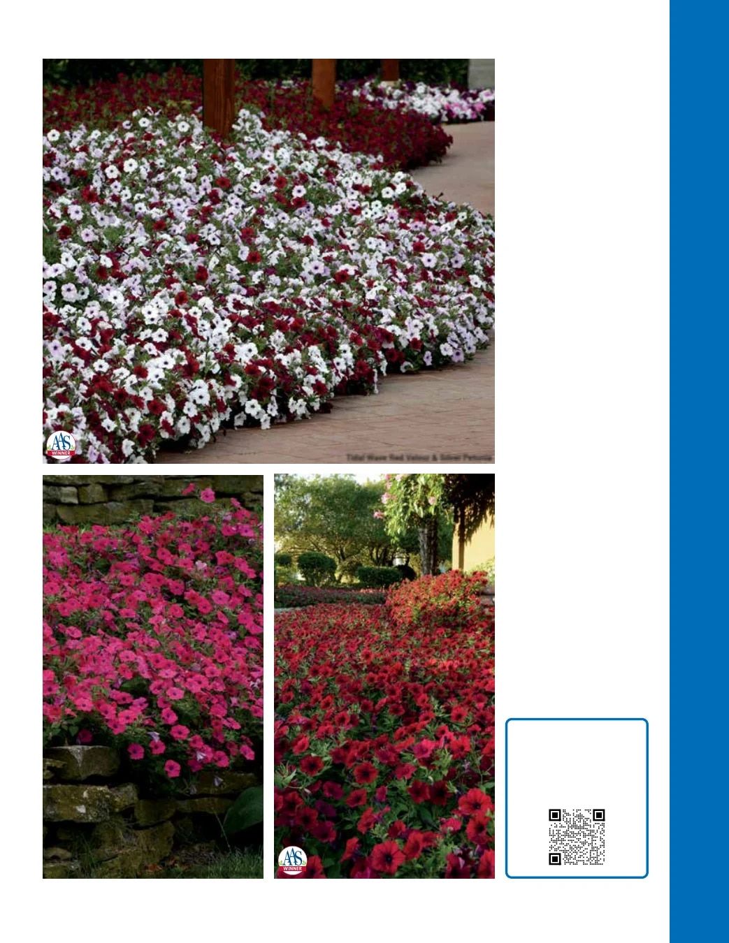 Ball Seed Seed and Plugs Catalog Weekly Ad August 31, 2026 - December 31, 2028