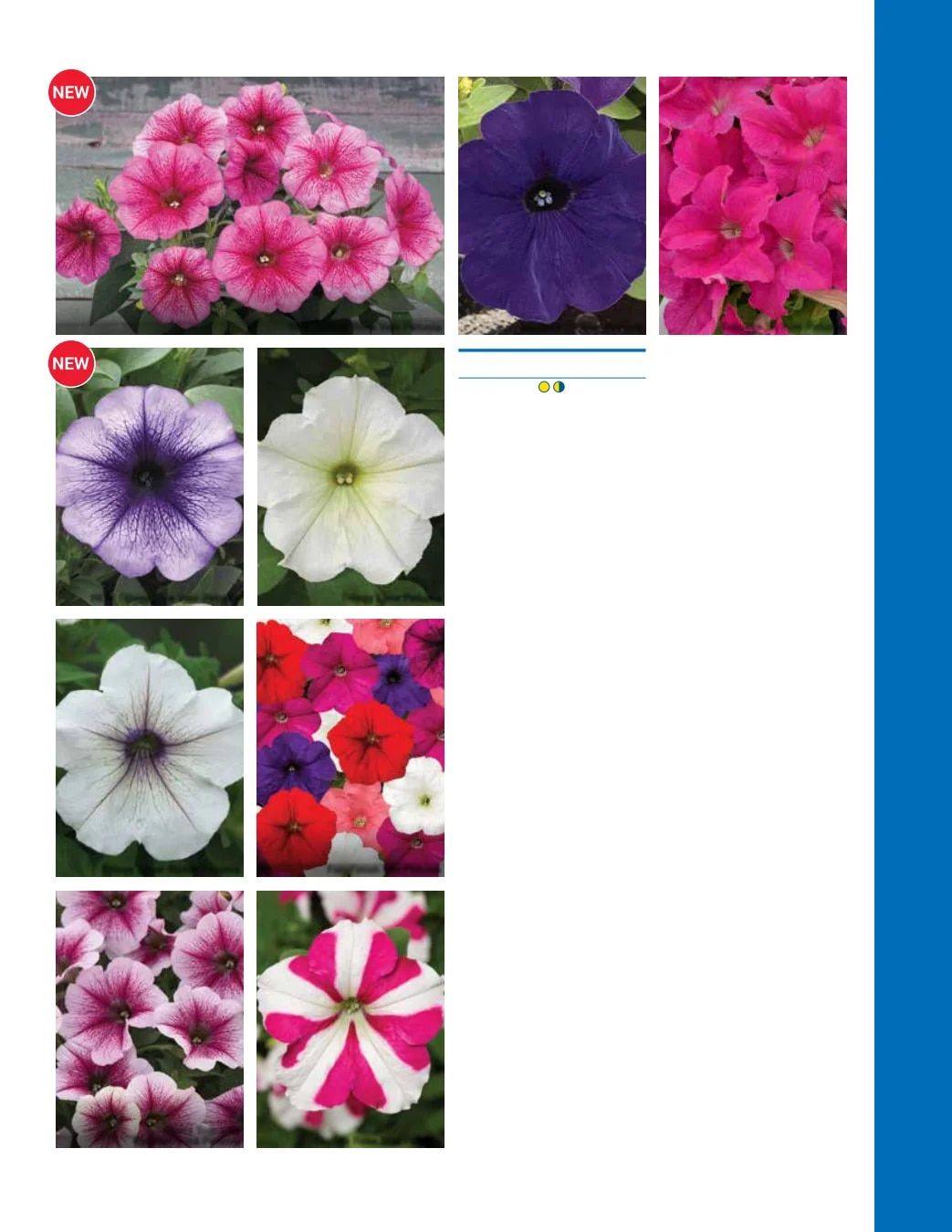 Ball Seed Seed and Plugs Catalog Weekly Ad August 31, 2026 - December 31, 2028