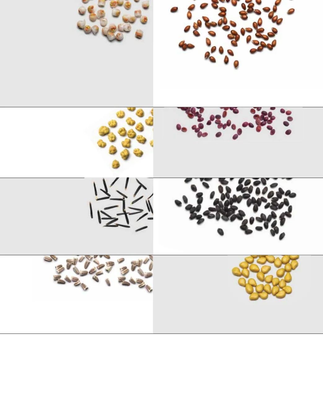 Ball Seed Seed and Plugs Catalog Weekly Ad August 31, 2026 - December 31, 2028