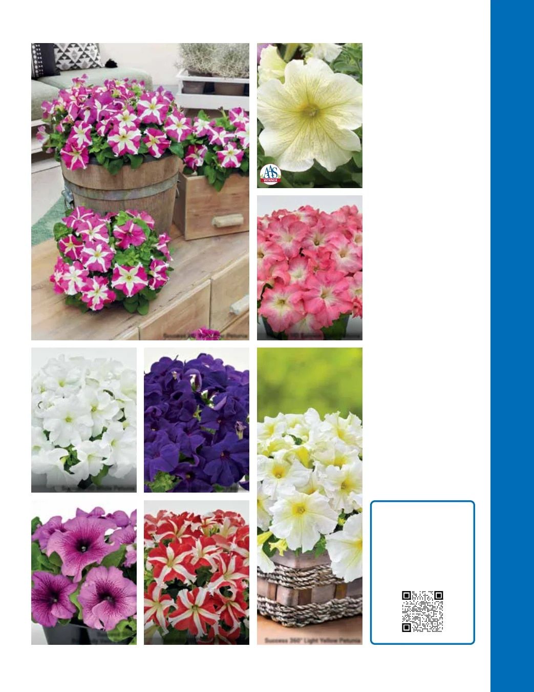 Ball Seed Seed and Plugs Catalog Weekly Ad August 31, 2026 - December 31, 2028