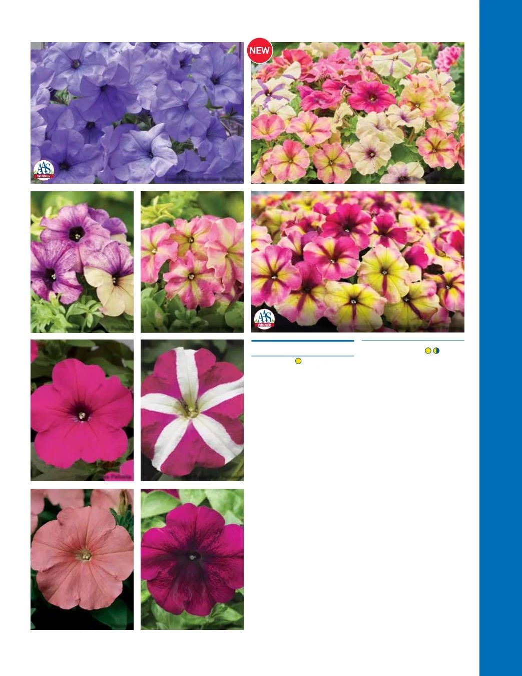 Ball Seed Seed and Plugs Catalog Weekly Ad August 31, 2026 - December 31, 2028