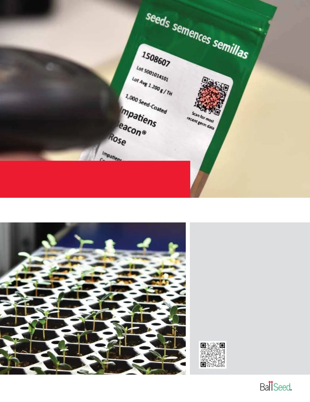 Ball Seed Seed and Plugs Catalog Weekly Ad August 31, 2026 - December 31, 2028