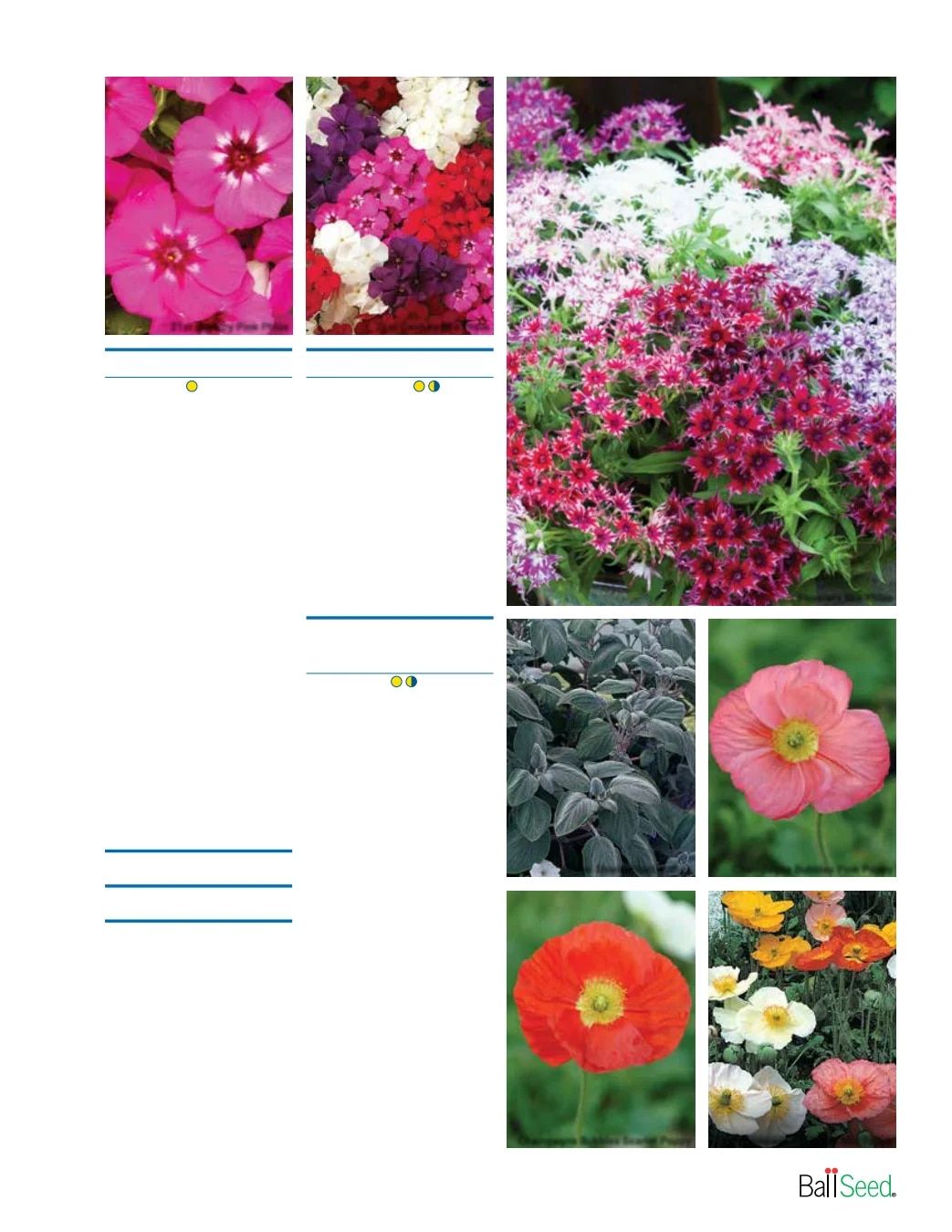 Ball Seed Seed and Plugs Catalog Weekly Ad August 31, 2026 - December 31, 2028