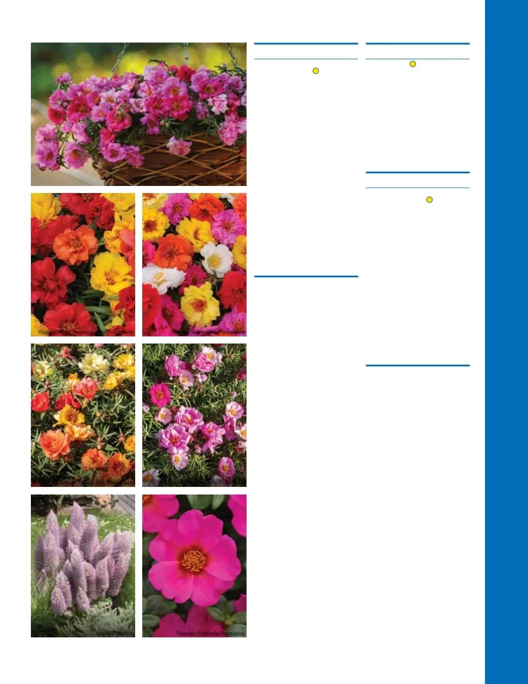 Ball Seed Seed and Plugs Catalog Weekly Ad August 31, 2026 - December 31, 2028