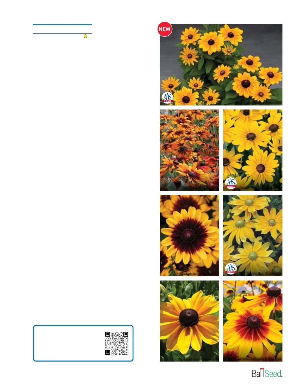 Ball Seed Seed and Plugs Catalog Weekly Ad August 31, 2026 - December 31, 2028