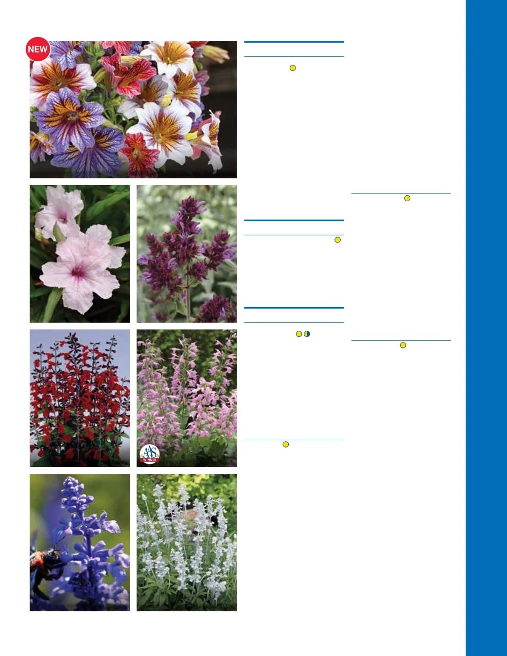 Ball Seed Seed and Plugs Catalog Weekly Ad August 31, 2026 - December 31, 2028