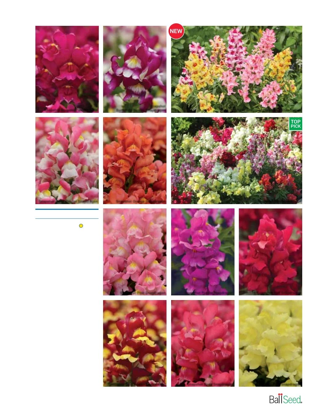 Ball Seed Seed and Plugs Catalog Weekly Ad August 31, 2026 - December 31, 2028