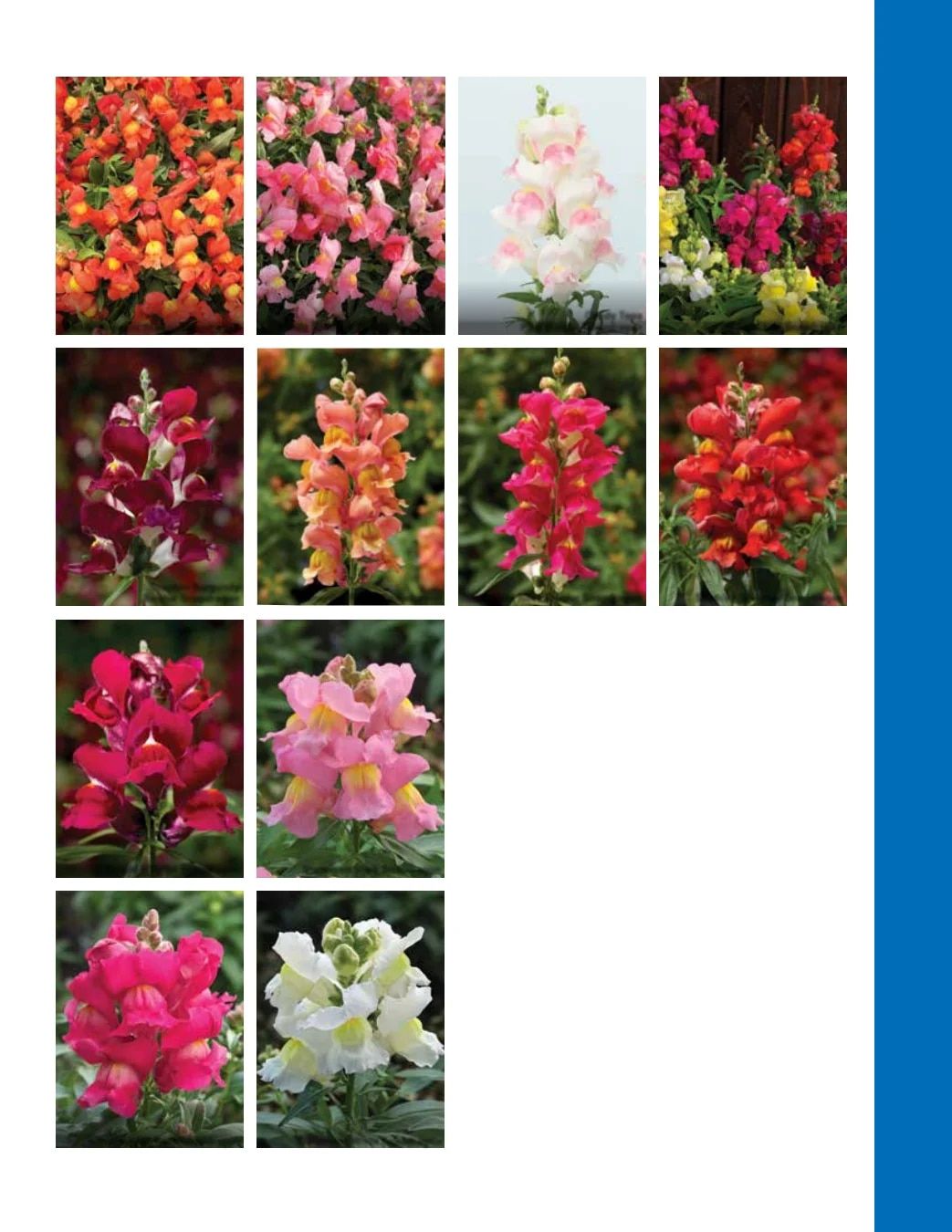 Ball Seed Seed and Plugs Catalog Weekly Ad August 31, 2026 - December 31, 2028