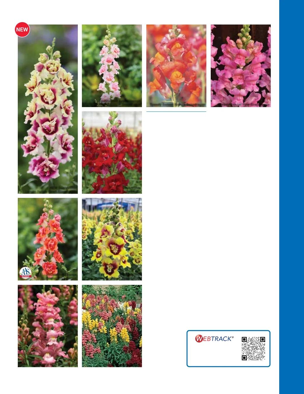 Ball Seed Seed and Plugs Catalog Weekly Ad August 31, 2026 - December 31, 2028