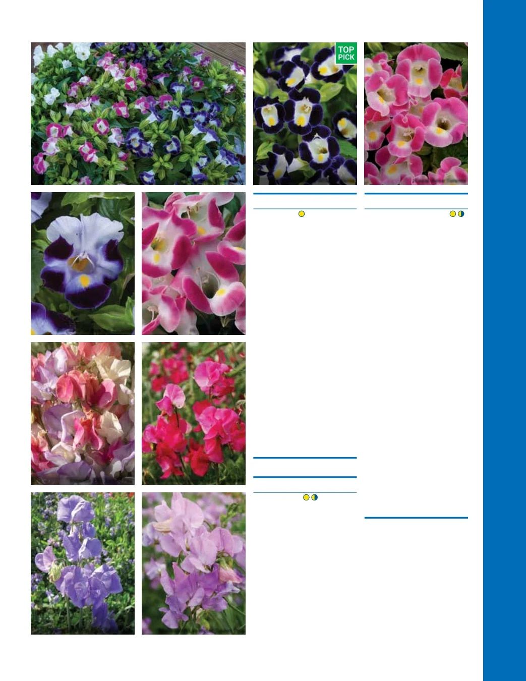 Ball Seed Seed and Plugs Catalog Weekly Ad August 31, 2026 - December 31, 2028