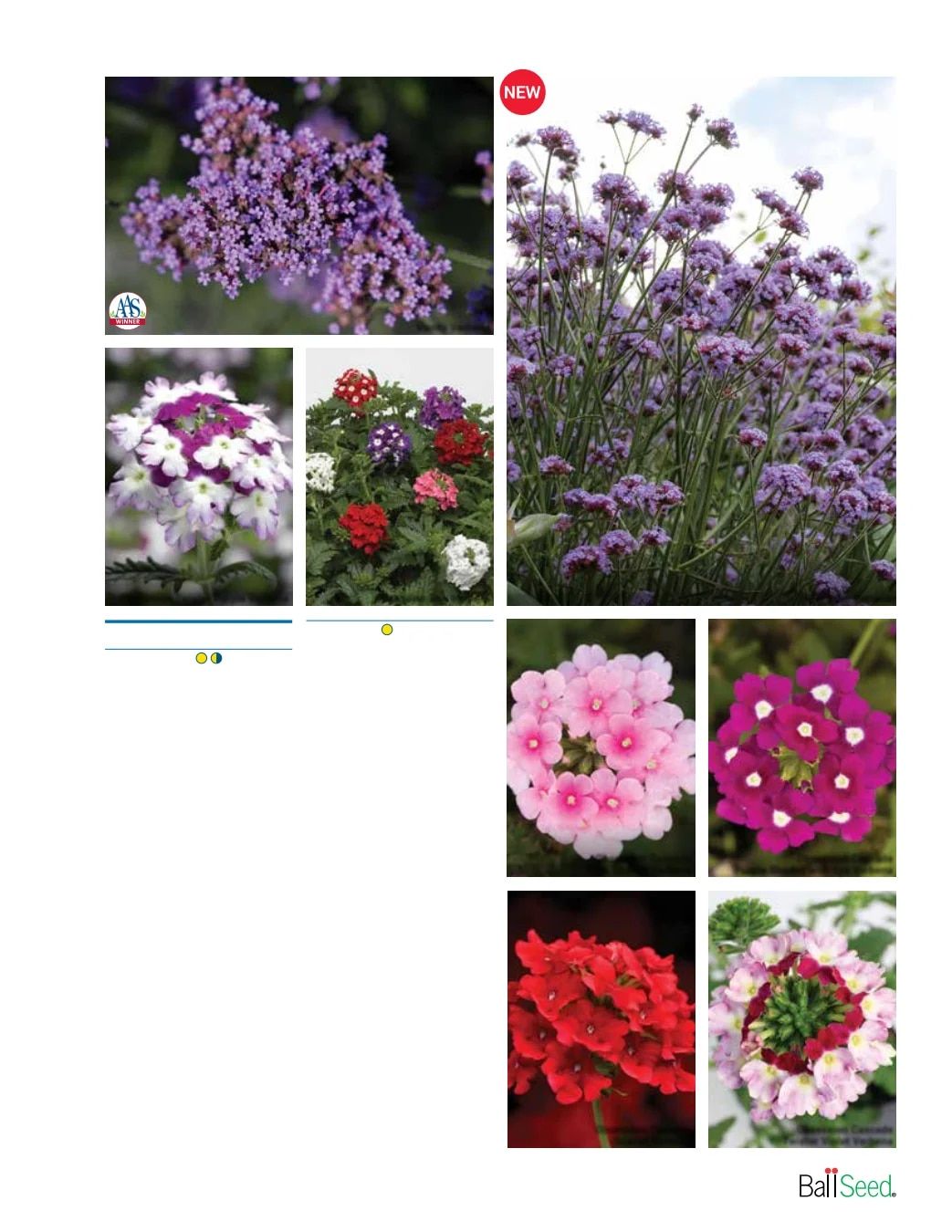 Ball Seed Seed and Plugs Catalog Weekly Ad August 31, 2026 - December 31, 2028